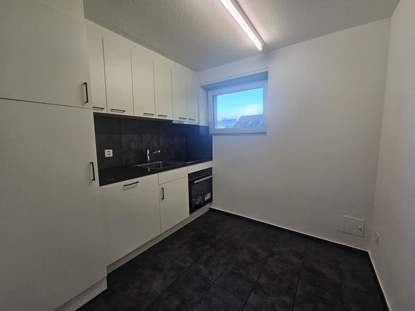 1 Zimmer-Wohnung, 8100 Schaffhausen 3