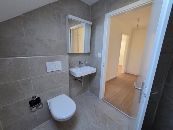 2 Zimmer-Attikawohnung, 4436 Oberdorf 7