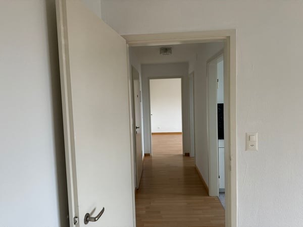 Charmante 1 Zimmer Wohnung in Trimbach 4