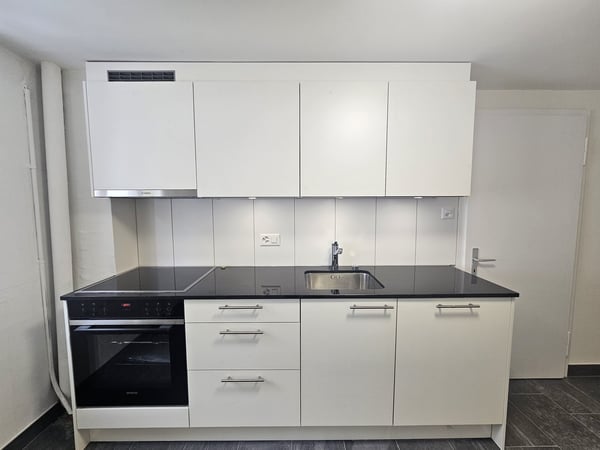 3 ½ Zimmer-Wohnung, 9100 Herisau 6