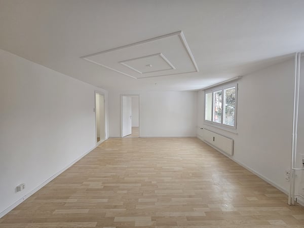 3 ½ Zimmer-Wohnung, 9100 Herisau 3