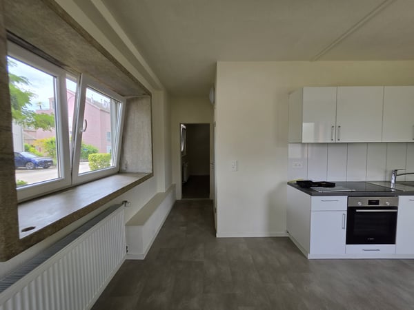 2 Zimmer-Studio, 5200 Brugg 7