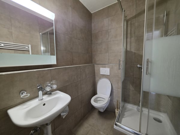 2 Zimmer-Studio, 5200 Brugg 6