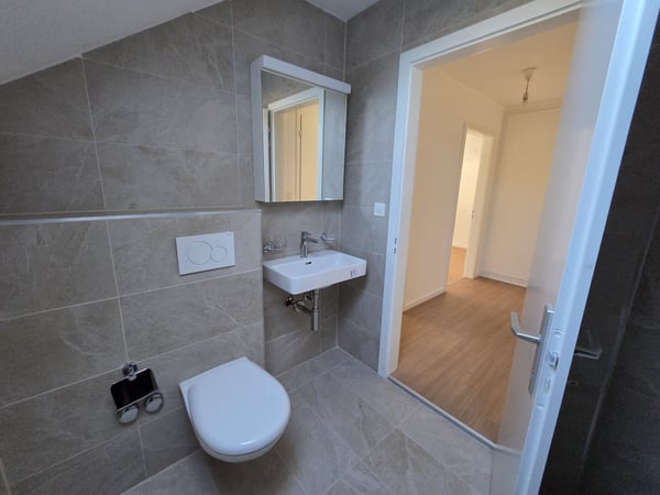 1 Zimmer-Attikawohnung, 4436 Oberdorf 7