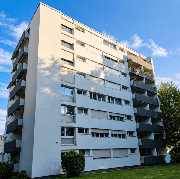 Angheneme 2.5 Zimmer Wohnung 1