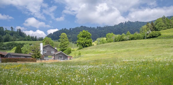 Exklusives Landhausidyll mit 3’874 m² Land, grossem Naturteich und Alpenblick 2