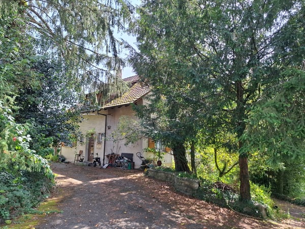 2'176 m² grosses Grundstück an schöner Hanglage in Breitenbach 4