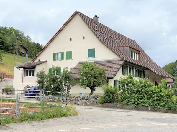 Schöne Altbauwohnung in Nunningen 1