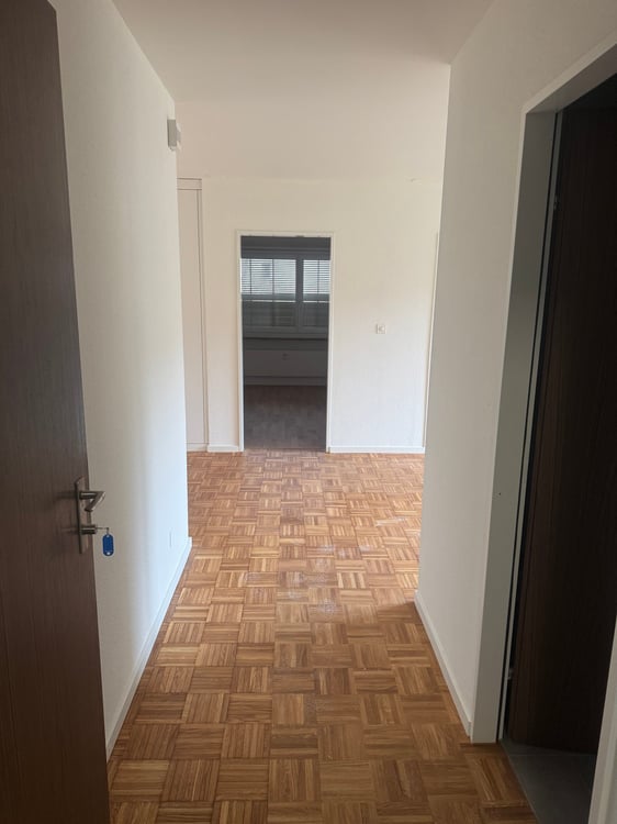 Frisch saniert! Charmante 1-Zimmer-Wohnung mit Balkon in ruhiger Lage in Diegten 4