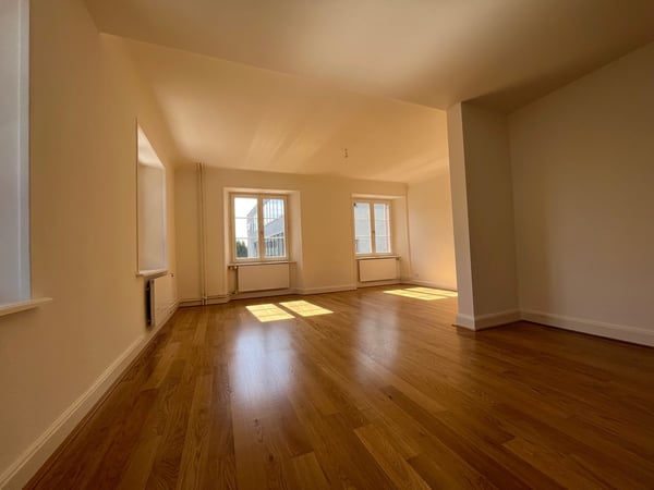 Charmante 1-Zimmer-Altbauwohnung in ruhiger Lage von Dornach 6