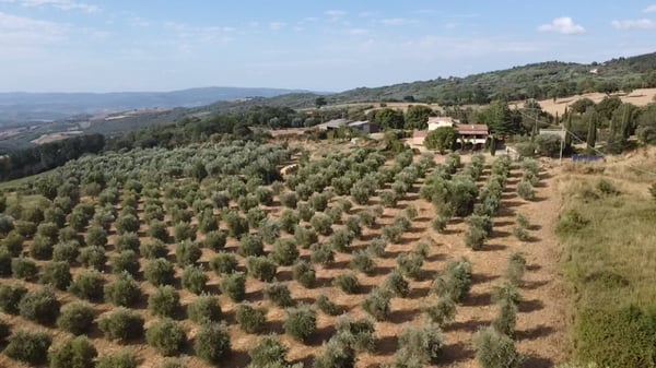 Immagine anteprima degli immobili