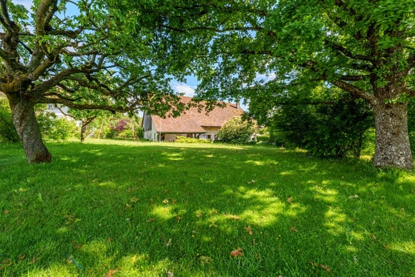 Maison individuelle de 9.5 pièces à Villars-Mendraz 4