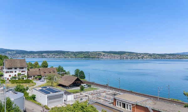Lake Vista Richterswil 4