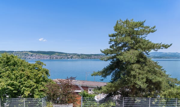 Lake Vista Richterswil 7