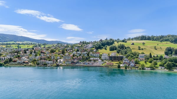 Lake Vista Richterswil 1