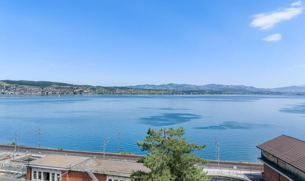Lake Vista Richterswil 3