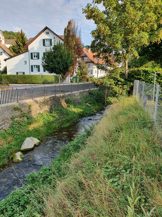 Tolle und geräumige Wohnung nahe Zentrum Birmensdorf 7