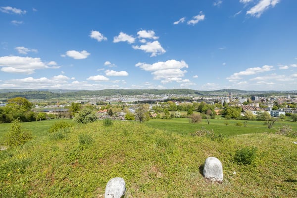 Dietikon