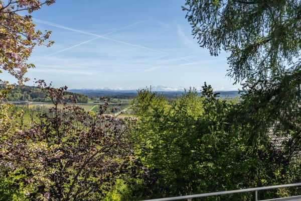 Investitionsmöglichkeit mit unverbaubarer Fernsicht 8