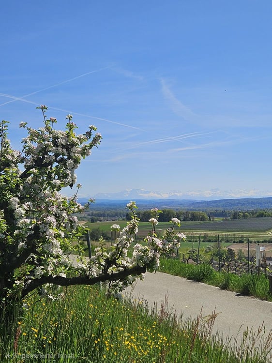 Investitionsmöglichkeit mit unverbaubarer Fernsicht 9