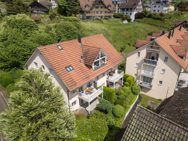 Nah am Zürichsee 2