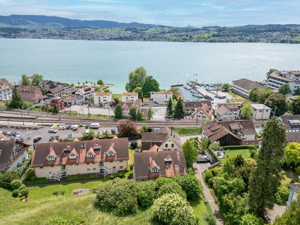 Nah am Zürichsee 1