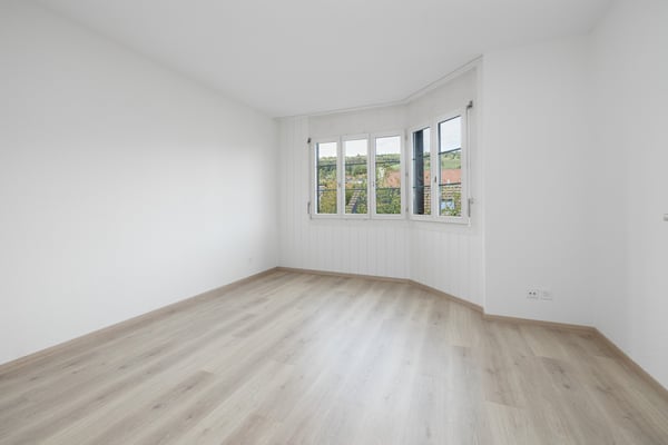 Attraktive Investition im Wehntal 6