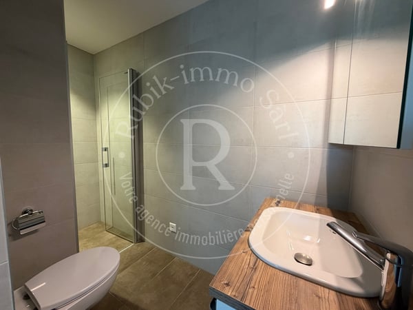 Coup de coeur à Autigny - Duplex 5,5 pièces, 153 m² + terrasse de 22 m² 13