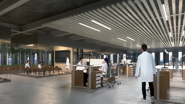 Ihre neuen gemischten Flächen im Herzen der Zone Zimeysa 8