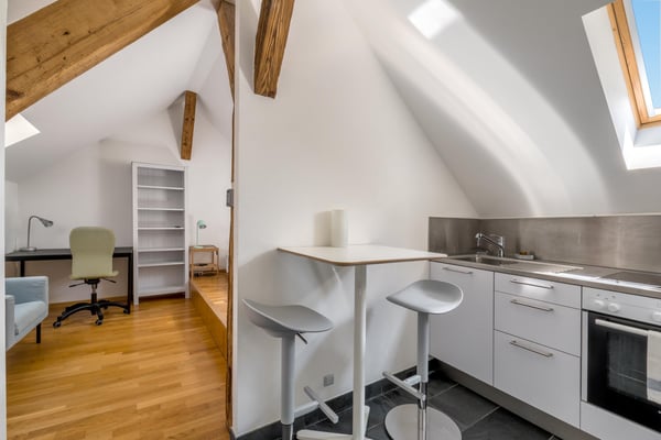 Exceptionnel duplex de 1.5 pièces à la Rue des Granges à Genève 9