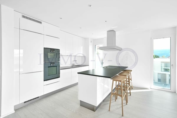 10 MIN. DE VEVEY - JONGNY - DE STANDING AVEC GRAND BALCON-TERRASSE ET VUE PANORAMIQUE 5