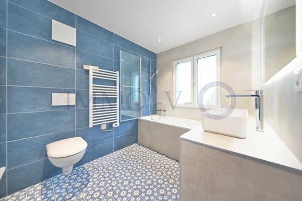 RENOVEE DE STANDING AVEC GRAND JARDIN ET VUE LAC - 1P + STUDIO 11