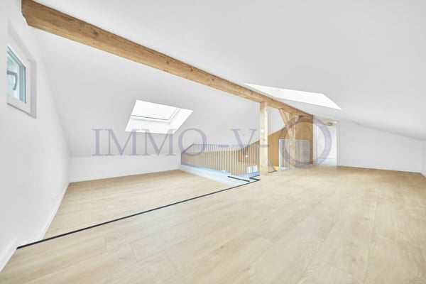 RENOVEE DE STANDING AVEC GRAND JARDIN ET VUE LAC - 1P + STUDIO 15