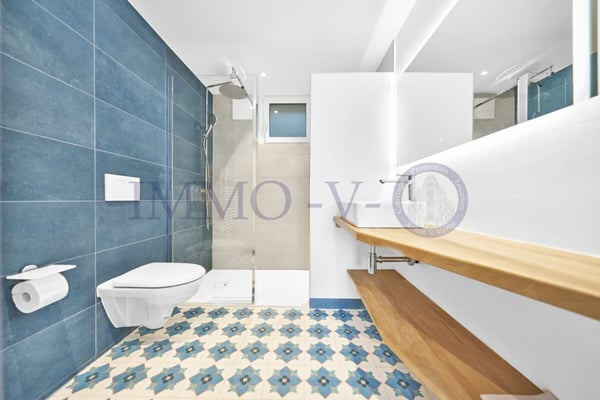 RENOVEE DE STANDING AVEC GRAND JARDIN ET VUE LAC - 1P + STUDIO 14