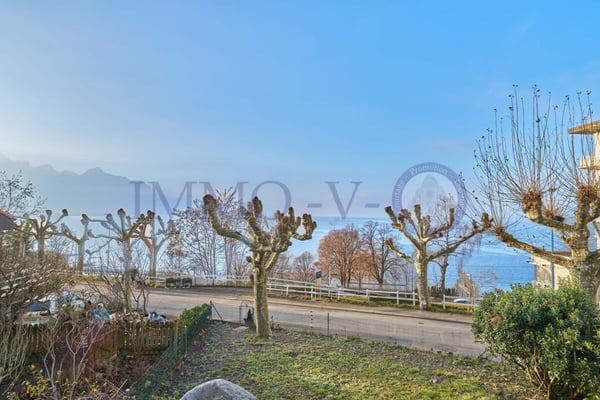 RENOVEE DE STANDING AVEC GRAND JARDIN ET VUE LAC - 1P + STUDIO 8