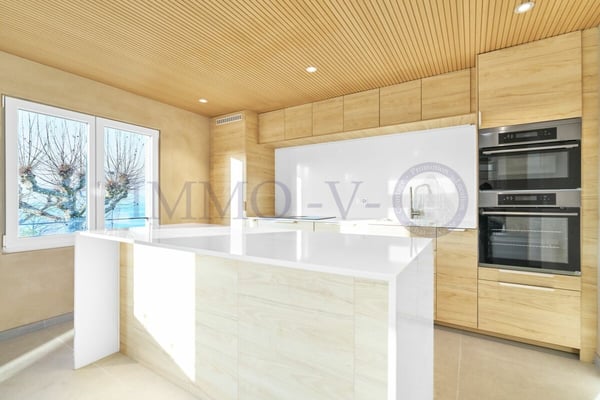 RENOVEE DE STANDING AVEC GRAND JARDIN ET VUE LAC - 1P + STUDIO 7