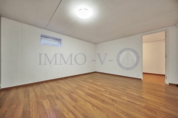 IDEALEMENT SITUEE AU CALME AVEC JARDIN 12