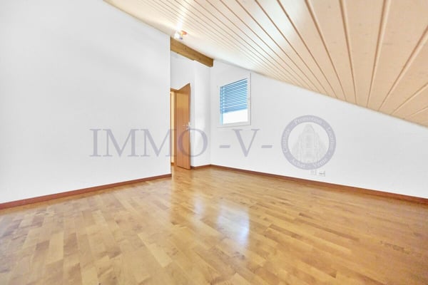 SPACIEUX ET LUMINEU EN DUPLEX AVEC BALCON-TERRASSE 9