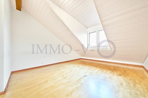 SPACIEUX ET LUMINEU EN DUPLEX AVEC BALCON-TERRASSE 8