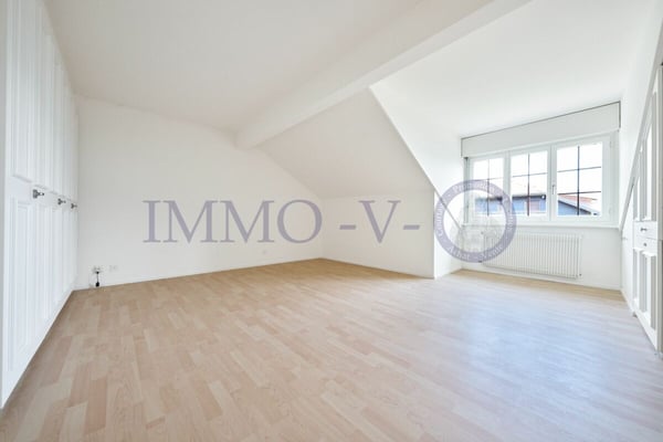 SPACIEUX ET RENOVE AVEC CACHET AVEC BALCON-TERASSE VUE LAC 7
