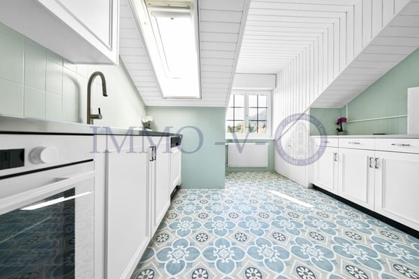 SPACIEUX ET RENOVE AVEC CACHET AVEC BALCON-TERASSE VUE LAC 5