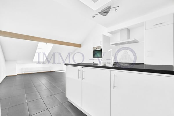 SPACIEUX DUPLEX RENOVE AVEC CACHET 6
