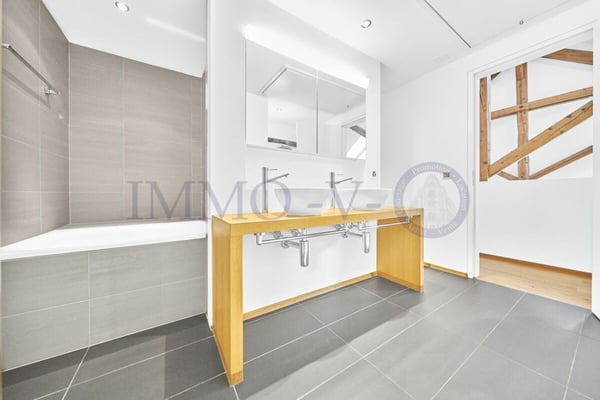 SPACIEUX DUPLEX RENOVE AVEC CACHET 9