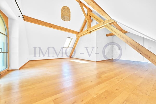 SPACIEUX DUPLEX RENOVE AVEC CACHET 7