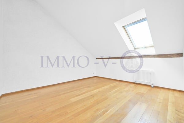 SPACIEUX DUPLEX RENOVE AVEC CACHET 8