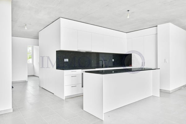 NEUF ET CONTEMPORAIN DE HAUT STANDING AVEC BALCON-TERRASSE 3