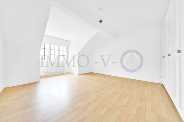 SPACIEUX ATTIQUE RENOVE AVEC CACHET AVEC BALCON-TERASSE VUE LAC 8