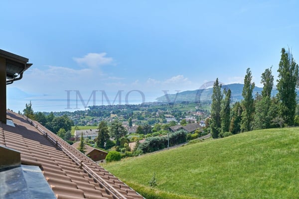 SPACIEUX ATTIQUE RENOVE AVEC CACHET AVEC BALCON-TERASSE VUE LAC 5