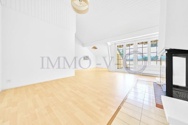 SPACIEUX ATTIQUE RENOVE AVEC CACHET AVEC BALCON-TERASSE VUE LAC 3