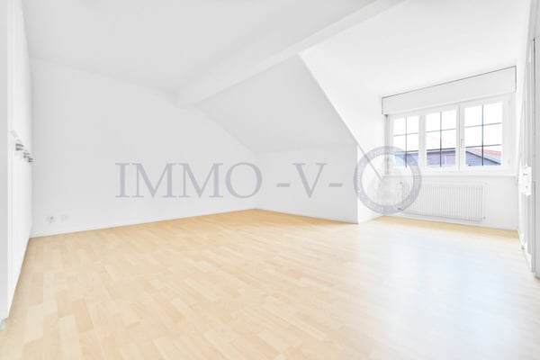 SPACIEUX ATTIQUE RENOVE AVEC CACHET AVEC BALCON-TERASSE VUE LAC 7